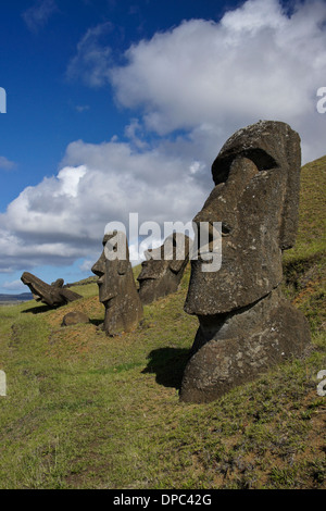 Moai at Rano Raraku quarry, Easter Island, Chile Stock Photo