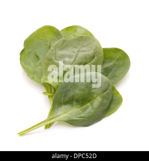Spinach vegetables isolated on white background cutout Stock Photo