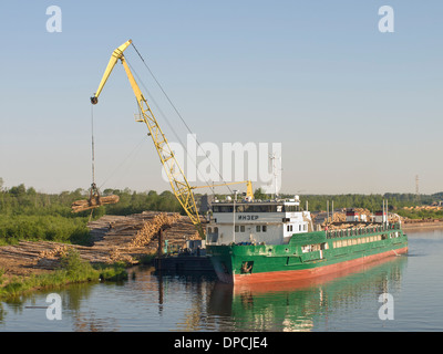 Common sight when traveling the Volga Baltic waterway Russia,forestry activity stacking and transportation of timber Stock Photo