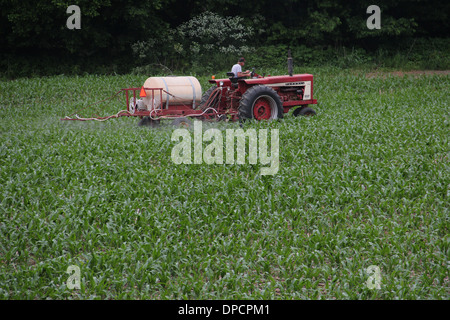 Farmer spraying insecticide on corn Indiana Stock Photo