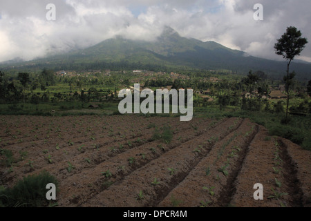 Farm village near Mt Merapi Indonesia volcano Stock Photo