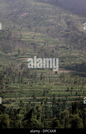 Farms near Mt Merapi Indonesia volcano Stock Photo