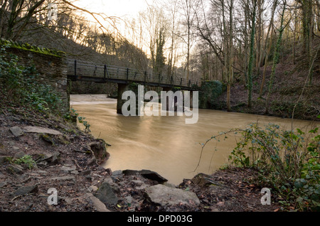 Snuff mills bridge, River Frome, Bristol England Stock Photo