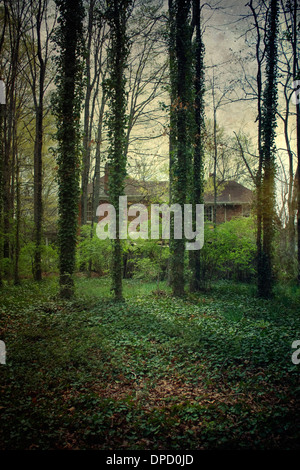 An atmospheric photograph of an old abandoned home in the Southern United States. Stock Photo
