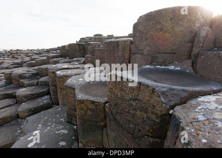 Close up view of the basalt columns that make up the world famous Giants Causeway in County Antrim. A World heritage site Stock Photo