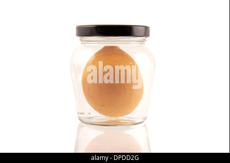 one egg floating in a water filled glass pot Stock Photo