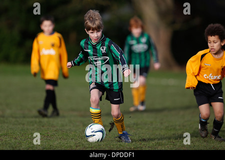 Hartley Wintney Falcons junior football team (yellow) play Curley Park Rangers in a youth football match in Hampshire 14-12-13 Stock Photo