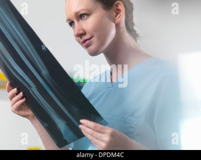 Doctor or radiologist viewing x-ray of broken leg in hospital Stock Photo