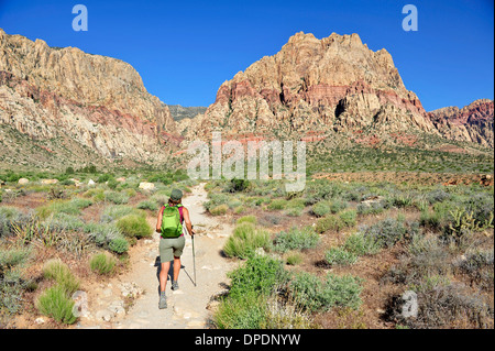 Female hiking Mount Wilson, Red Rock Canyon, Nevada, USA Stock Photo