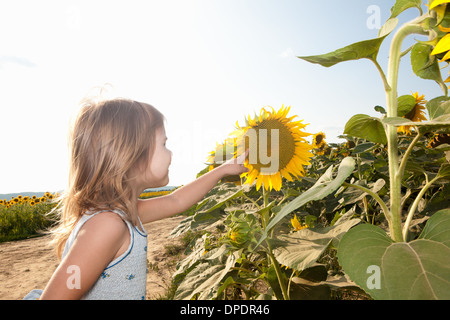 Girl pointing to sunflower Stock Photo