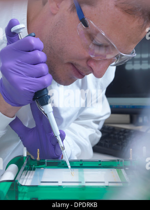 Researcher loads a sample of DNA into an agarose gel for separation by electrophoresis Stock Photo