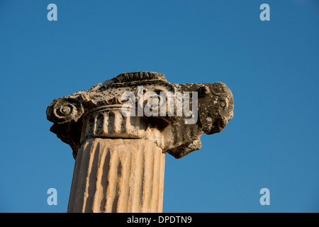 Turkey, Kusadasi, Ephesus. Ancient column with carved bull's head. Stock Photo