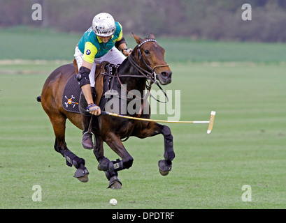 Polo player takes a ball, Polo Cup at Gut Basthorst 2013, Germany Stock Photo