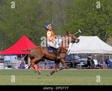 Polo player take a ball, Polo Cup  Gut Basthorst 2013, Germany Stock Photo