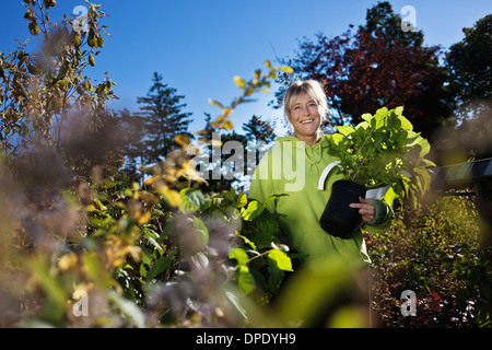 Mid adult woman gardening Stock Photo