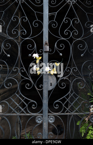 BUENOS AIRES, Argentina — Yellow and white flowers adorn the wrought iron gate of a mausoleum in Recoleta Cemetery (Cementerio de la Recoleta). This simple floral tribute represents the continuing tradition of remembrance in this historic cemetery. The flowers' placement on the ornate metalwork creates a poignant contrast between the cemetery's permanent architecture and ephemeral offerings. Stock Photo