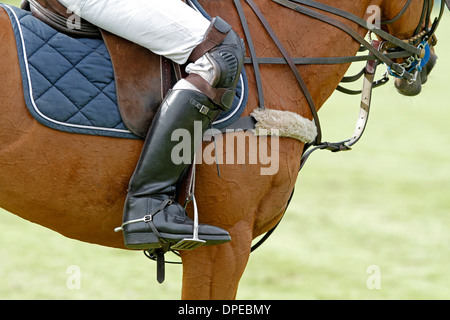 A polo player sitting on a polo pony Stock Photo