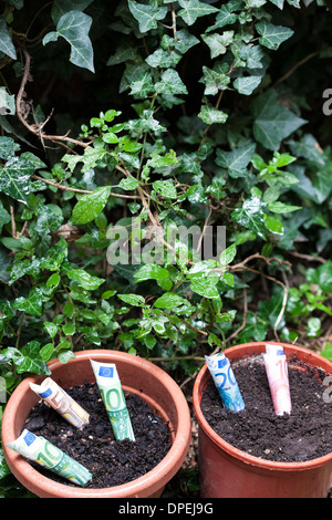 banknotes in the pots Stock Photo - Alamy