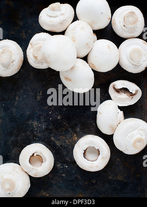 White mushrooms on black background Stock Photo