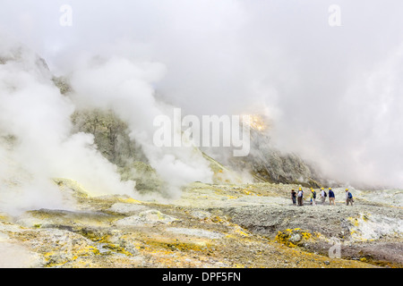 Visitors at an active andesite stratovolcano on White Island, North Island, New Zealand, Pacific Stock Photo