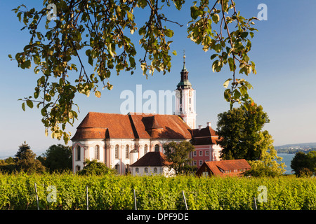 Vineyards and pilgrimage church of Birnau Abbey, Unteruhldingen, Lake Constance, Baden Wurttemberg, Germany, Europe Stock Photo