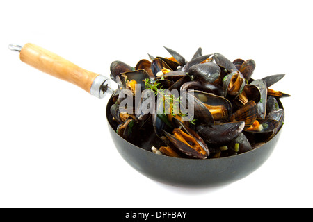 Mussels in a pan with herbs isolated over white Stock Photo