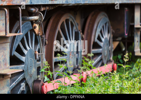 steam engines in sidings awaiting restoration.caledonian railways Montrose Scotland Stock Photo