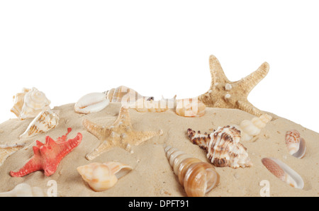 Starfish and seashells on the beach isolated on white background Stock Photo