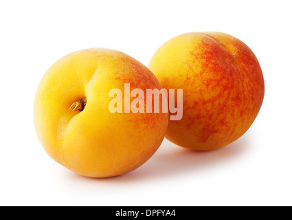 Two ripe yellow apricots isolated on white background Stock Photo