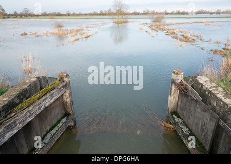 OLd lock gates and flooded meadows on the River Great Ouse Cambridgeshire UK showing the flood plain. Stock Photo