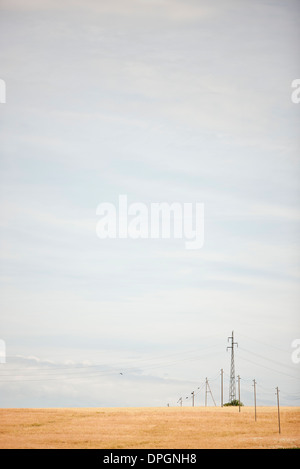 Power lines over fields a cloudy summers day Stock Photo - Alamy