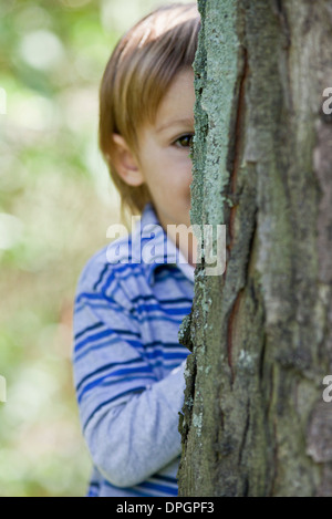 Boy peeking from behind tree Stock Photo