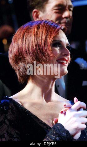 Nov. 15, 2006 - New York, new york - K50748AR.CHICAGO  celebrates  its  10  years  on  Broadway  with  a gala benefit performance  for SafeHorizons..(curtain  call) .Ambassador Theater, New York City..11-14-2006. Andrea Renault /    2006.(Credit Image: © Globe Photos/ZUMAPRESS.com) Stock Photo