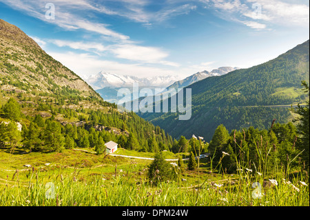 Swiss Alps viewed from the Simplon Pass on the Swiss Italian border Stock Photo