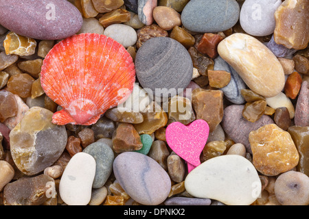 Scallop shell on a pebble, heart Stock Photo
