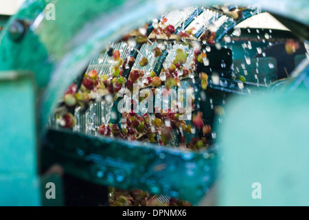 Machinery washes and removes pulp from coffee cherries in wet processing Stock Photo
