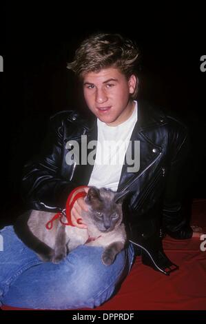 June 13, 2006 - JASON HERVEY WITH HIS DOG 1990. HOLZ-MICHELSON-(Credit Image: © Globe Photos/ZUMAPRESS.com) Stock Photo