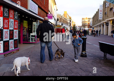 Man walking two bull terrier dogs in town centre with asian child walking by looking at the dogs, Bedford, Bedfordshire Stock Photo