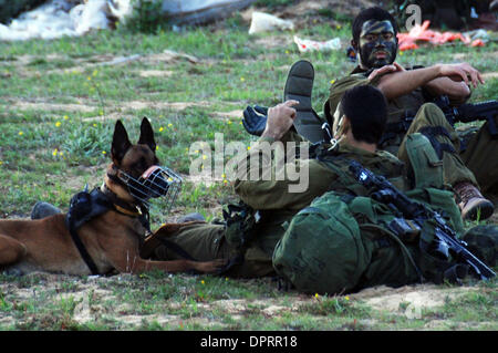 Jan 07, 2009 - Gaza, Israel - Israel army and search dogs relax after ground maneuvers in the Gaza Strip. (Credit Image: © Rafael Ben-Ari/IDF/Chameleons Eye/ZUMA Press) Stock Photo