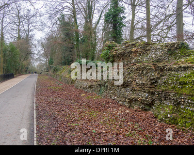 Footpath beside the Roman Wall in Verulamium Park, St. Albans, Hertfordshire, UK. Stock Photo