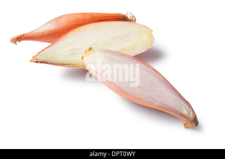 Shallots - John Gollop Stock Photo