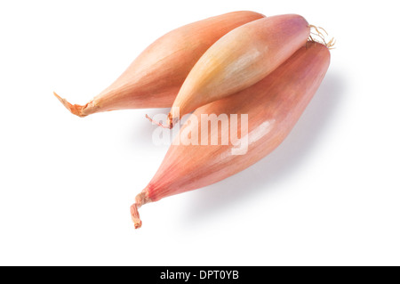 Shallots - John Gollop Stock Photo