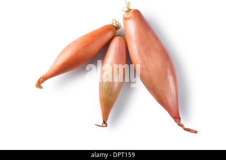 Shallots - John Gollop Stock Photo