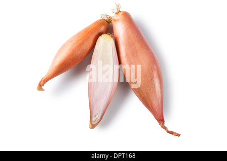Shallots - John Gollop Stock Photo