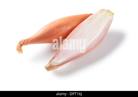 Shallots - John Gollop Stock Photo