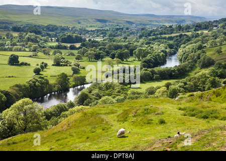 River Tees and Meadows, Upper Teesdale, England Stock Photo