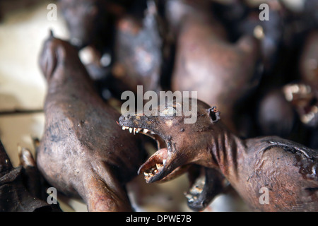 Seared dead fruit bat (flying fox) for sale as a delicacy in Tomohon market Stock Photo