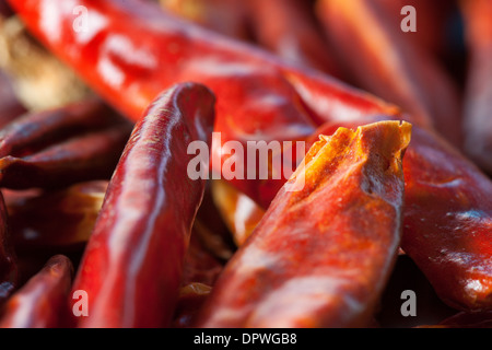 Red Chili Peppers Stock Photo