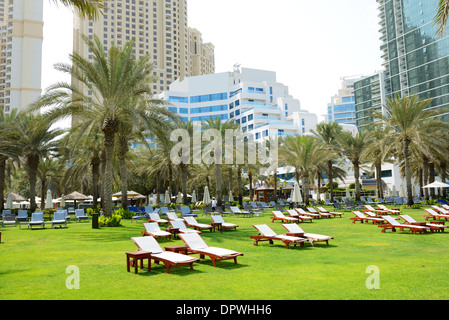 Sunbeds on the green lawn and palm trees shadows in luxury hotel, Dubai, UAE Stock Photo