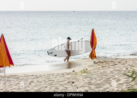 A young woman in a two-piece bathing suit carries her Stand up paddle board out of the Caribbean sea and onto the beach. Stock Photo